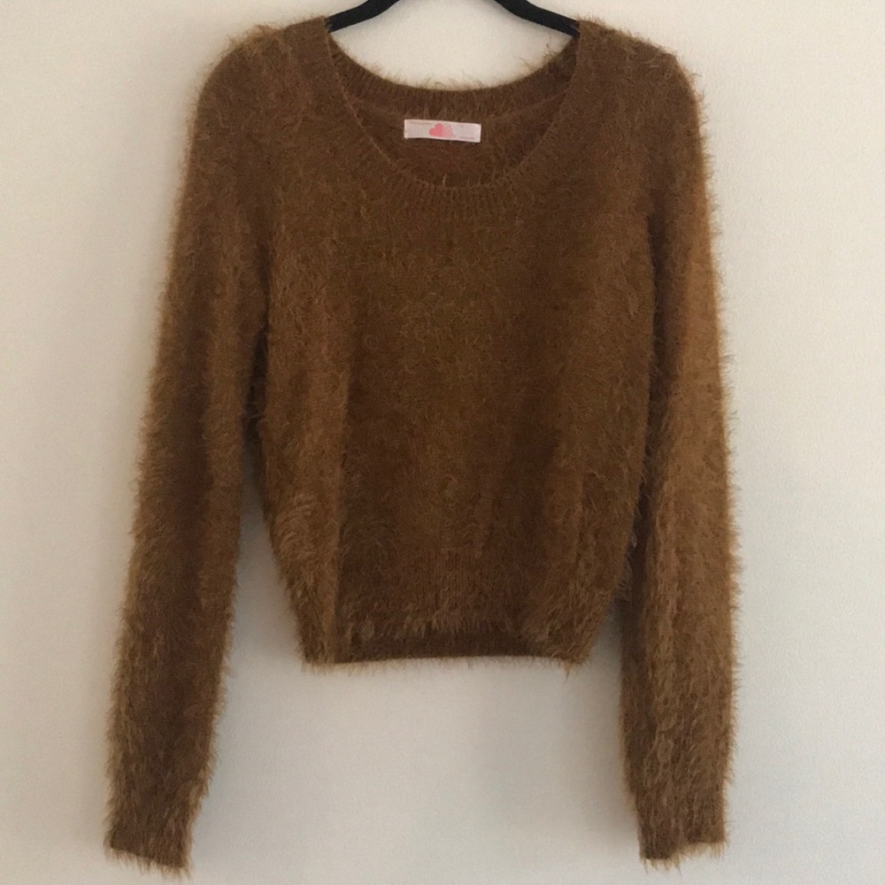American Apparel fuzzy brown sweater